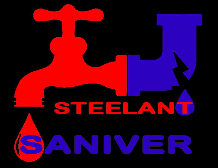 Saniver Steelant